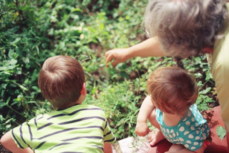 Nature trail: a grandma points into bushes with two young children